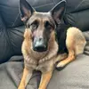 Mary Linda - @pardy.williams5 - TikTok
