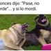 William Paredes - Facebook