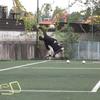 WilliamParisi - @williamparisi4 - TikTok
