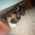 William Parkhouse - @william.parkhouse - Instagram