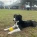 William Owens Pass Sports Complex - Facebook