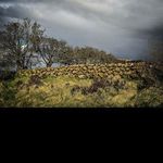 @william_patel - Instagram