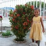 William Paternina Mercado - @williampaterninamercado - Instagram