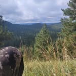 William Dell Paty - @williampaty1 - Instagram
