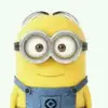 william - @williampaulino24 - TikTok