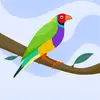 Jhon William Pava Lopez - @jhon.william.pava - TikTok