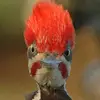William - @williampaye - TikTok