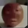 Nolan William Peal - @nolanpe - TikTok