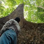 William Miguel Bautista Pech - @bautistapech - Instagram