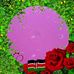 William Bushien - Facebook