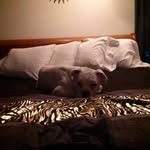 William Pederson - @william.pederson.7 - Instagram