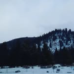 William Pederson - @w_jack.pederson - Instagram