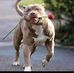 Butoomm Weelim - Facebook