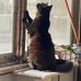 Bill Pelchat - Facebook