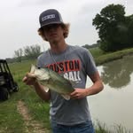 William Pelt - @peltwilliam - Instagram