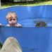 William Pelt - Facebook