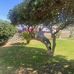 William Penate - Facebook