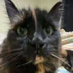 William Pender - @sapender26 - Instagram