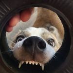 William Pendley Jr. - @jr.williampendley - Instagram