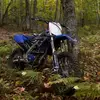 William Penhale - @william.penhale - TikTok