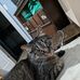Will Powley - Facebook