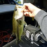 william penley - @penley98 - Instagram