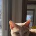 William Penrod - Facebook