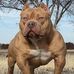 William Penrod Jr. - Facebook