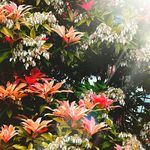 william penson - @wp.photography12 - Instagram
