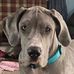 Will Perdue - Facebook