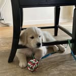 William Perreault - @william015360 - Instagram