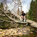 William Perreault - Facebook