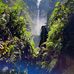 William Parrilla - Facebook