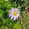 William Perretta - @williamperretta_7832 - TikTok