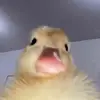 williamperrett291 - @williamperrett291 - TikTok