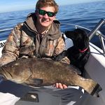 William Perrigan - @william_perrigan - Instagram