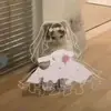 Amelia/Millie - @williampetersen.fp.ect - TikTok