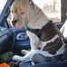 Will Pettengill - Facebook