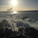 William Pfeifer - @william_pfe - Instagram