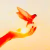 𝐄𝐫𝐢 𝐊𝐚𝐧𝐠 - @.william..phoenix - TikTok