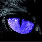 William Phoenix - @houiliamme - Instagram