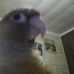 William Picard - Facebook