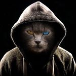 William Picard - @william.picard.583 - Instagram