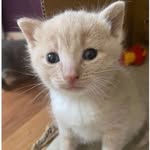 William Pickle Litovitch - @williampicklelito - Instagram
