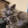 William.D.Pickle - @william.d.pickle - TikTok