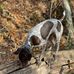 Bill Pickrell - Facebook