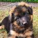 William Pingos - Facebook
