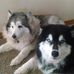 William Pinkham - Facebook