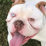 William Pitcher - @williamp261 - Instagram