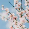 user2278288042163 - @williamsplain1 - TikTok